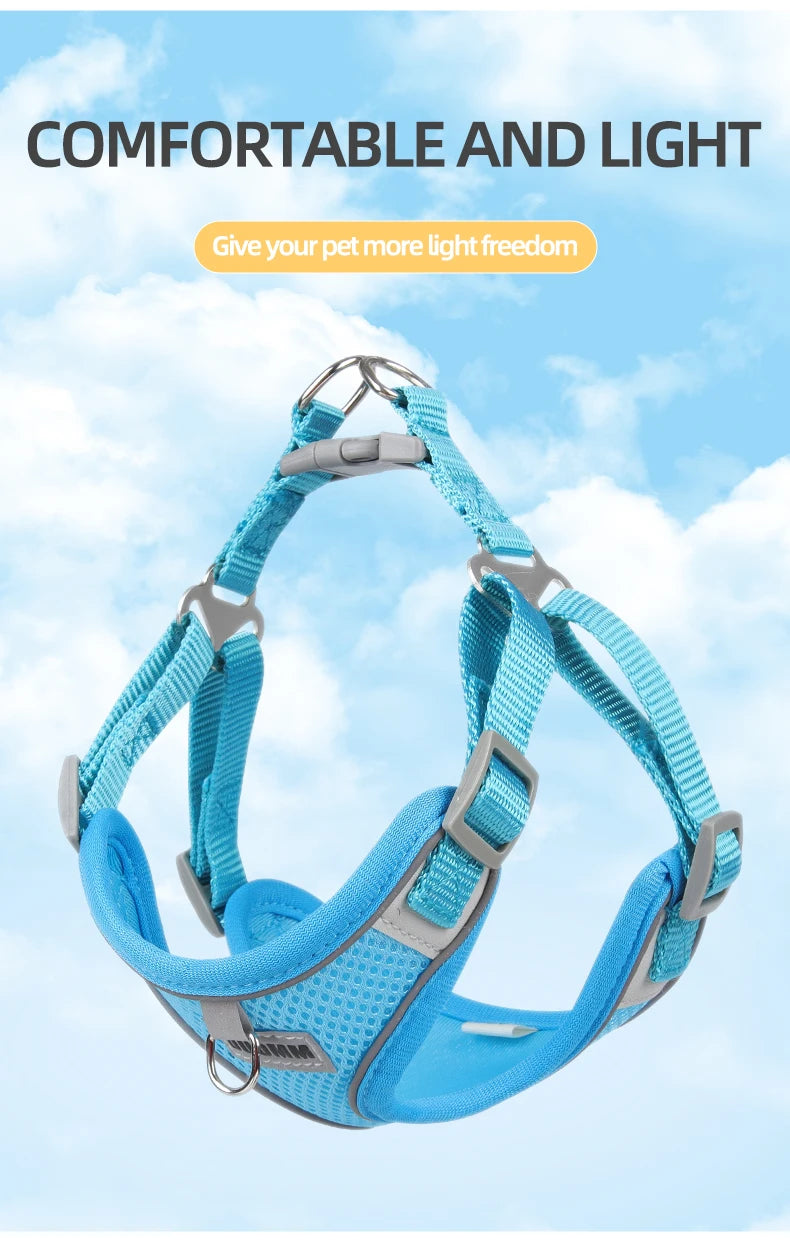 Dog Harness Leash Set for Small Medium Dog Cat