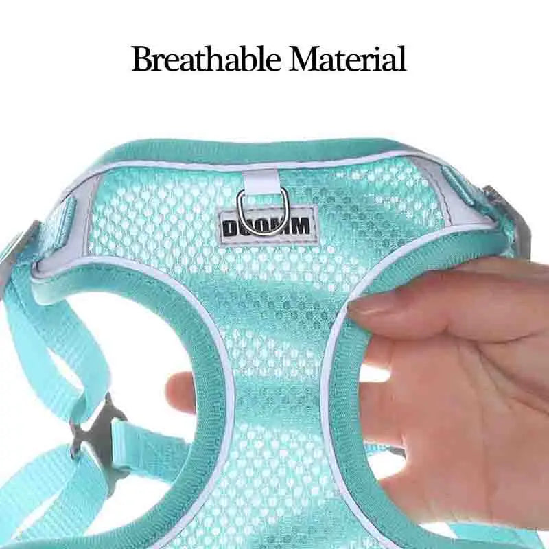 Dog Harness Leash Set for Small Medium Dog Cat