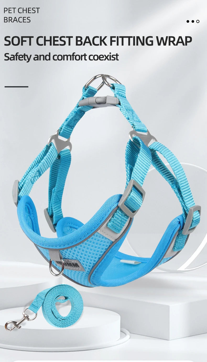 Dog Harness Leash Set for Small Medium Dog Cat