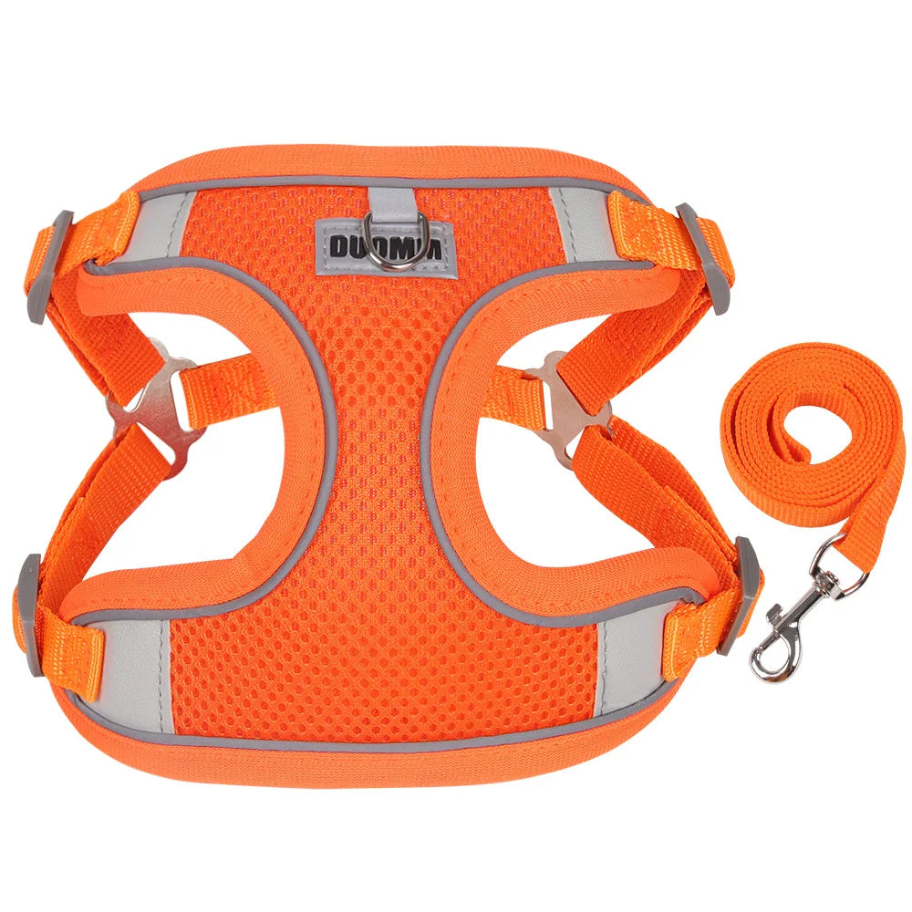 Dog Harness Leash Set for Small Medium Dog Cat
