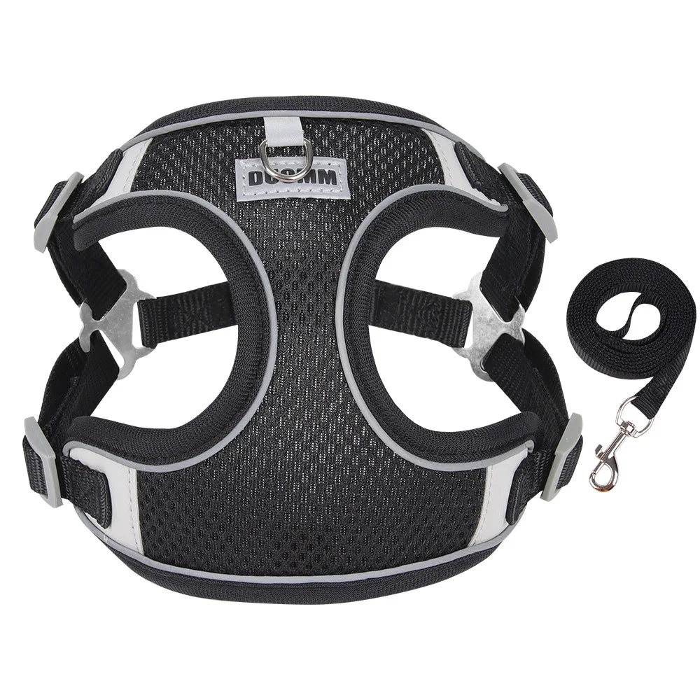 Dog Harness Leash Set for Small Medium Dog Cat