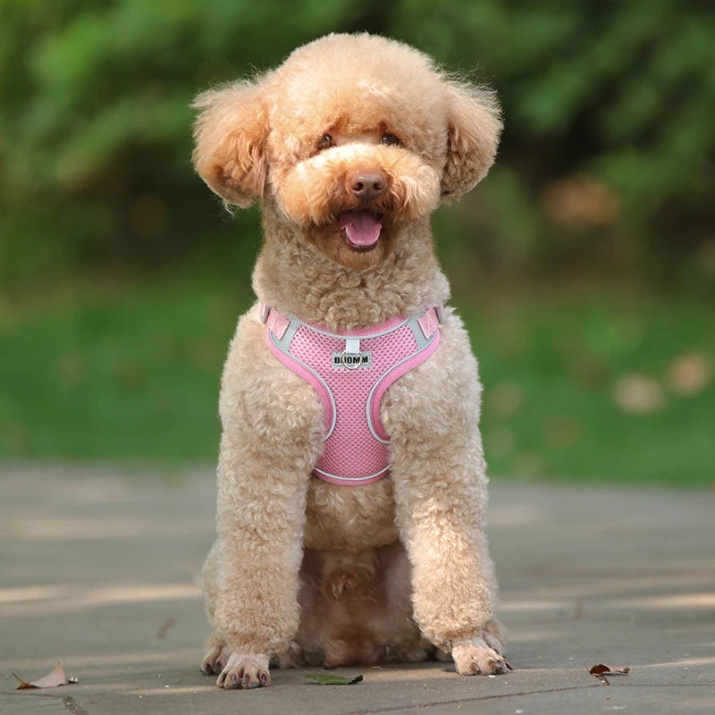 Dog Harness Leash Set for Small Medium Dog Cat