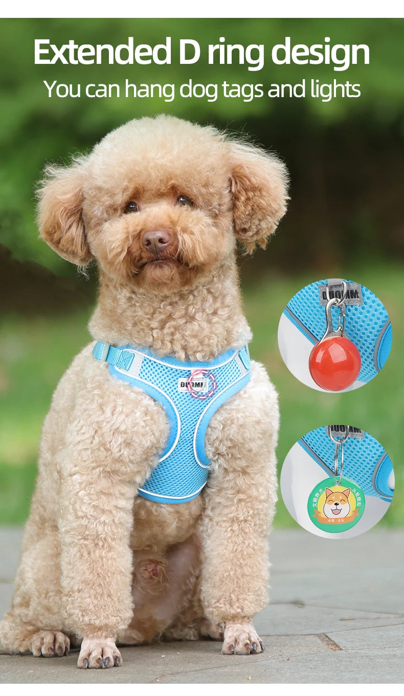Dog Harness Leash Set for Small Medium Dog Cat