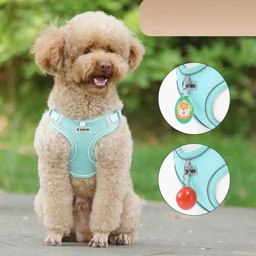 Dog Harness Leash Set for Small Medium Dog Cat