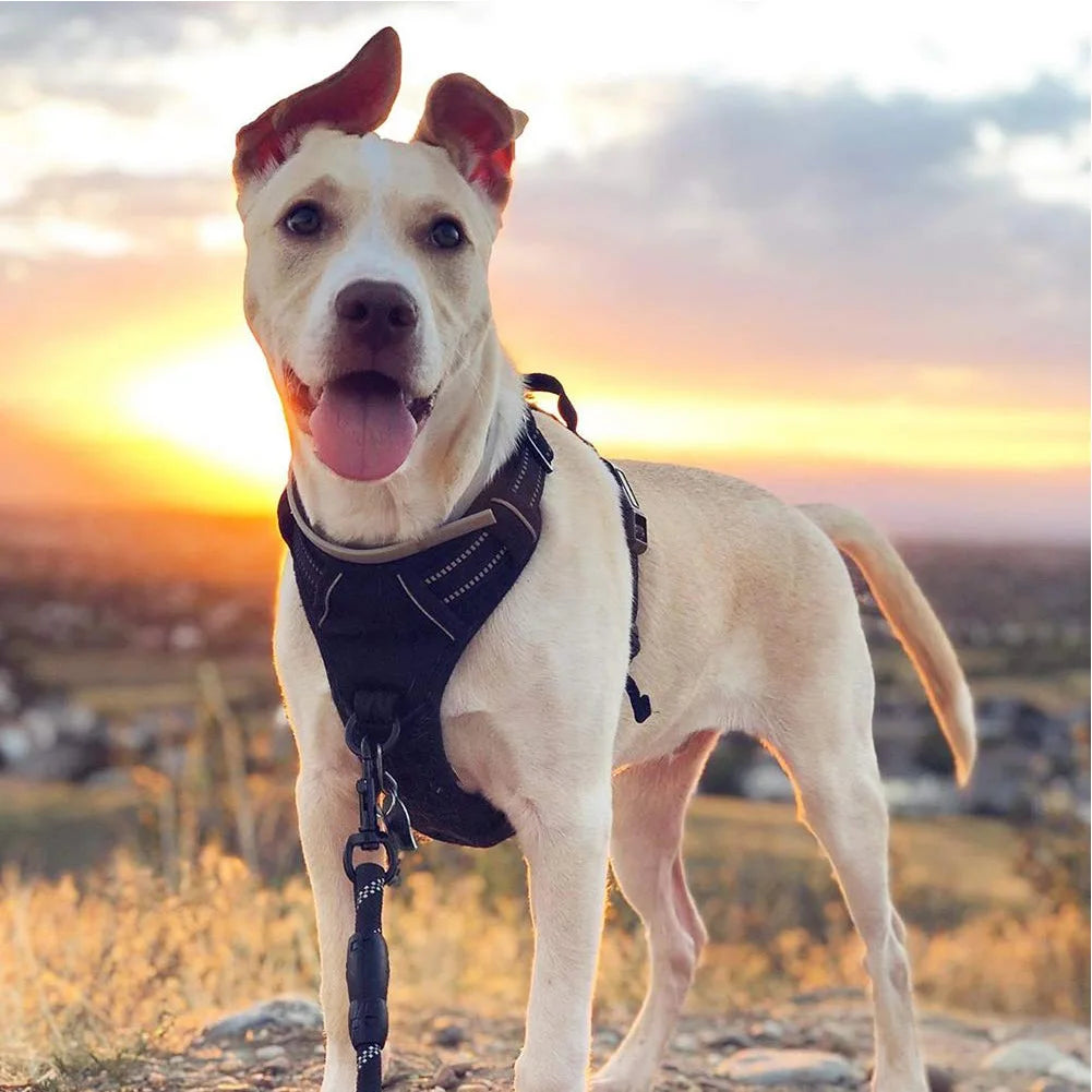 Dog Harness No-Pull Service Vest with Reflective