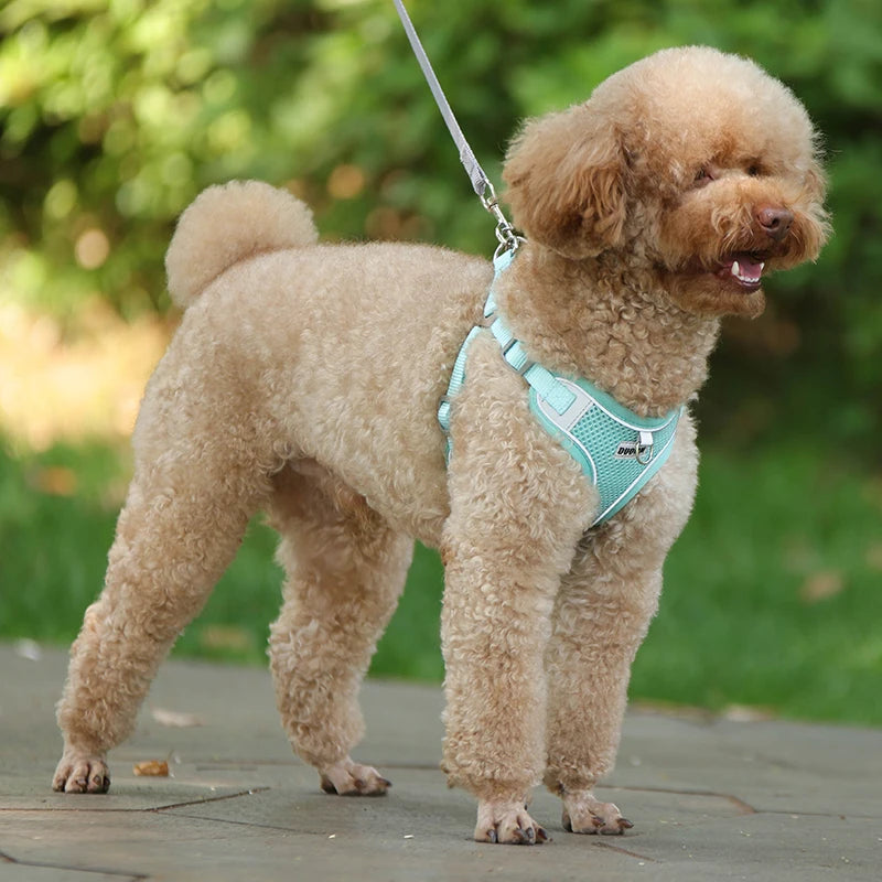 Dog Harness Leash Set for Small Medium Dog Cat
