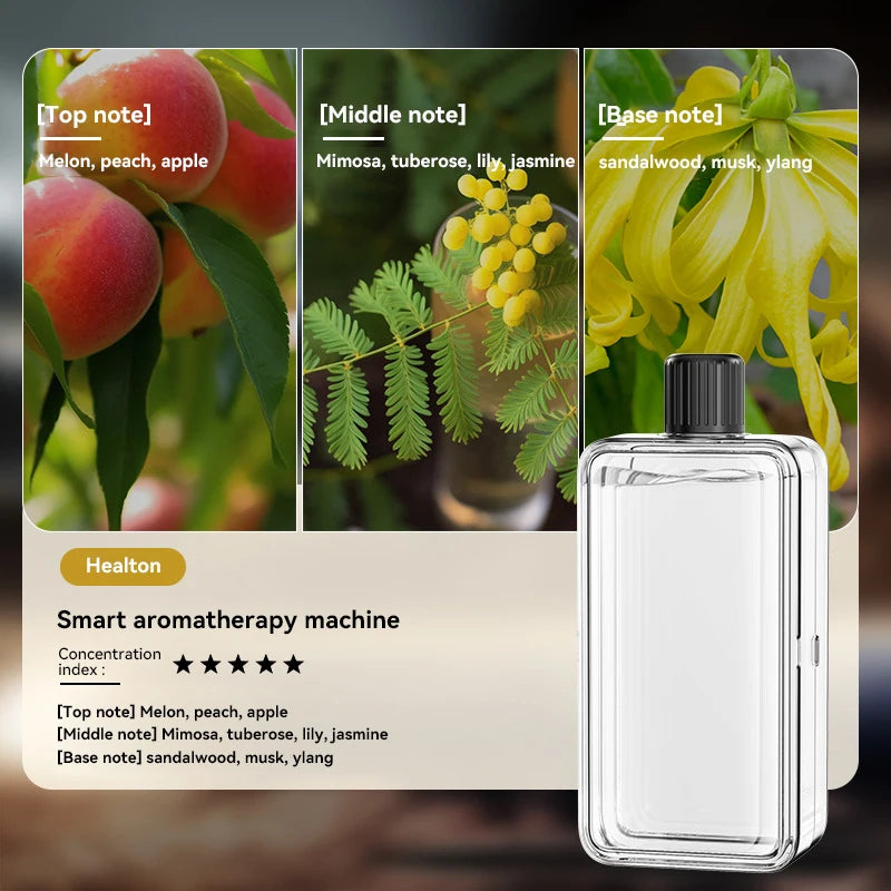 Automatic Diffuser Aromatherapy with Display Essential Oil Humidifier