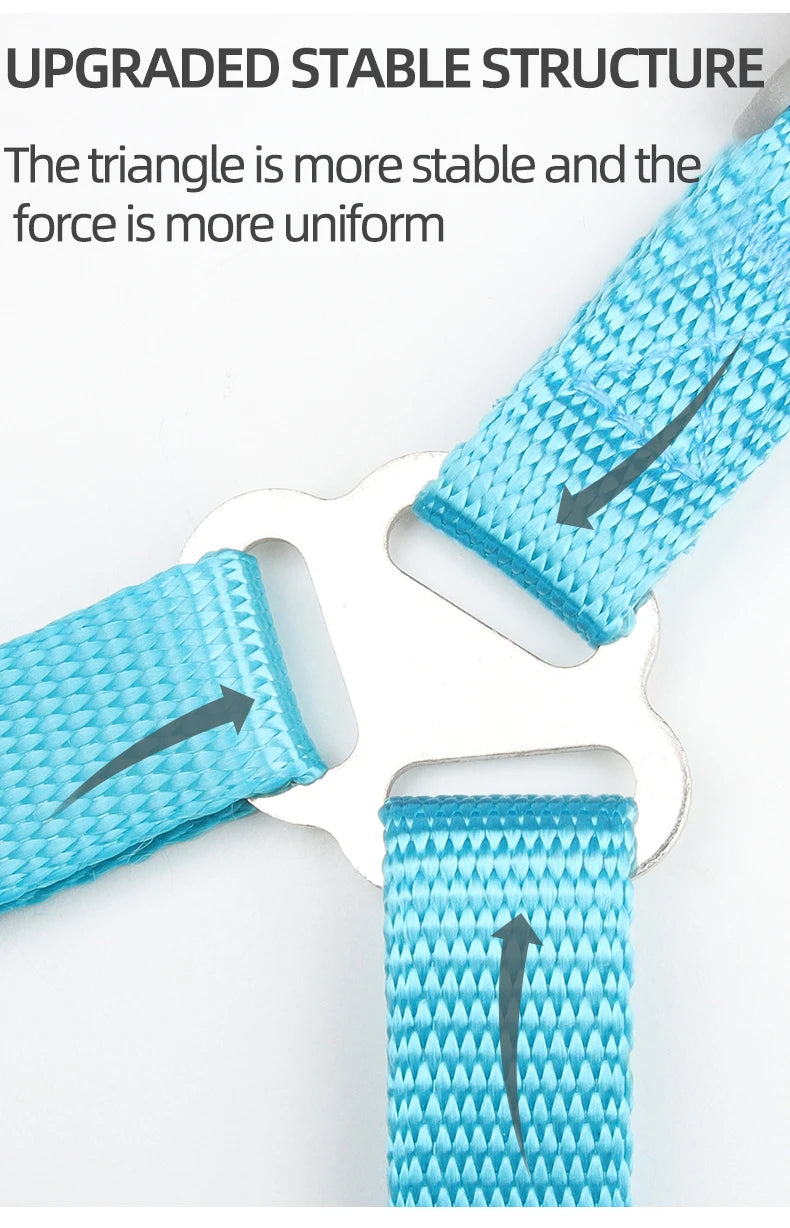 Dog Harness Leash Set for Small Medium Dog Cat