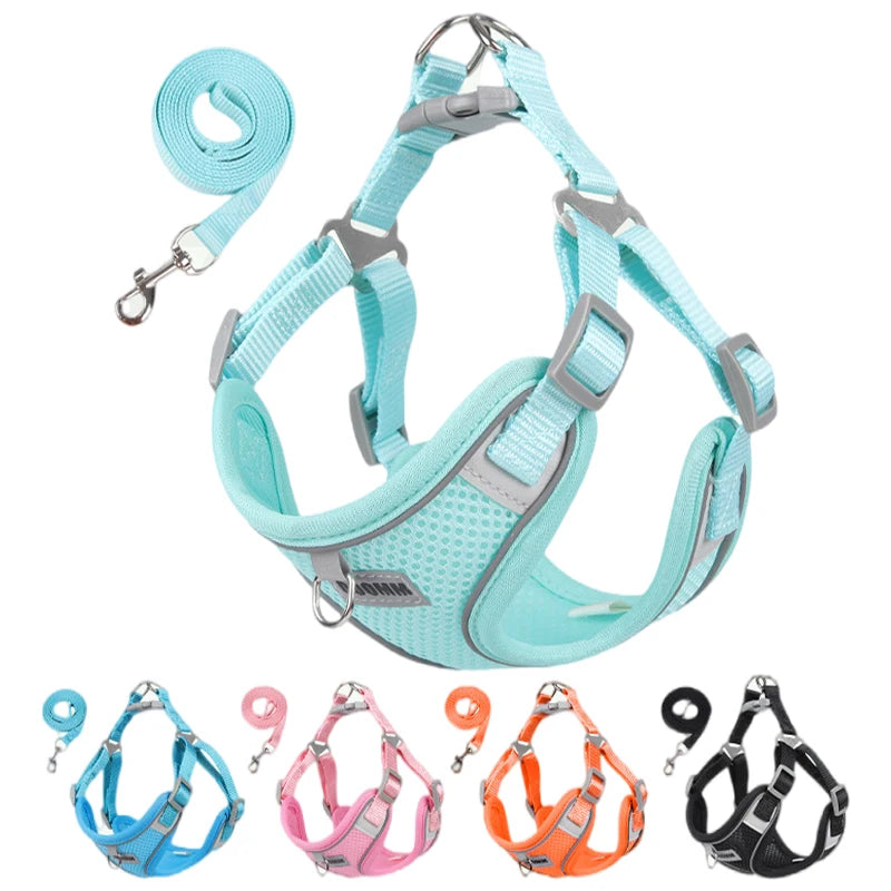 Dog Harness Leash Set for Small Medium Dog Cat