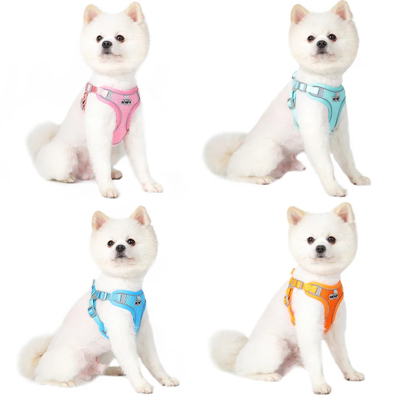 Dog Harness Leash Set for Small Medium Dog Cat